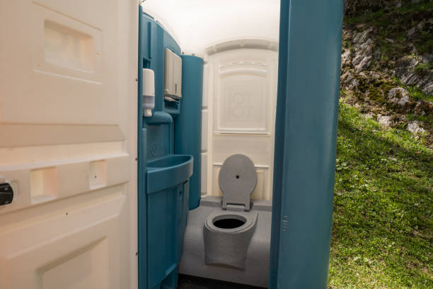 Best Affordable portable toilet rental  in Woodhaven, MI